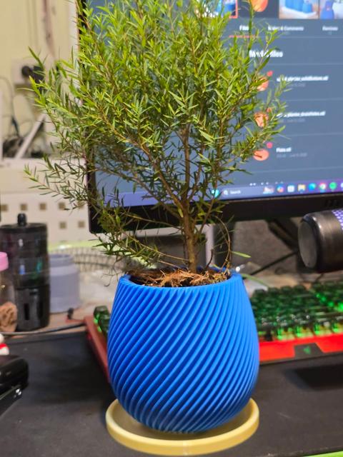 Pot base with Drip Tray 3D model thumbnail