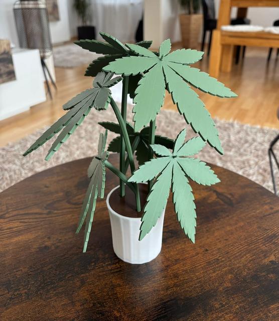 Cannabis-Coaster Plant with Hidden Storage 3D model thumbnail