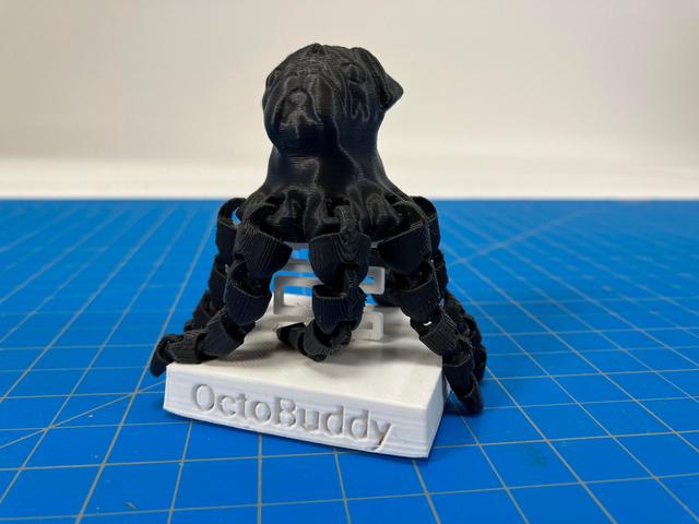 OctoBuddy Bubblehead 3D model thumbnail