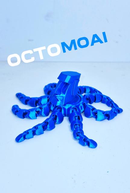 OCTOPUS(OCTOMOAI) 3D model thumbnail