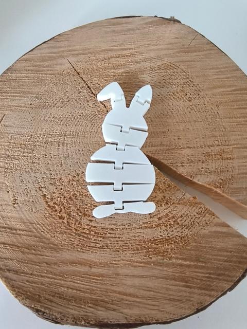 Flexi Bunny 3D model thumbnail