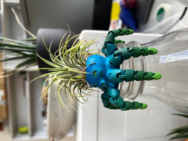 Octopus with Airplant hairstyle 3D model thumbnail