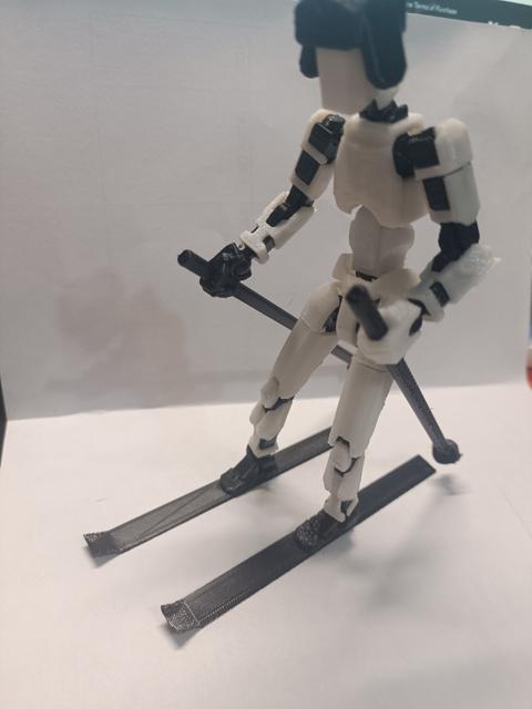 ski for dummy 13 3D model thumbnail