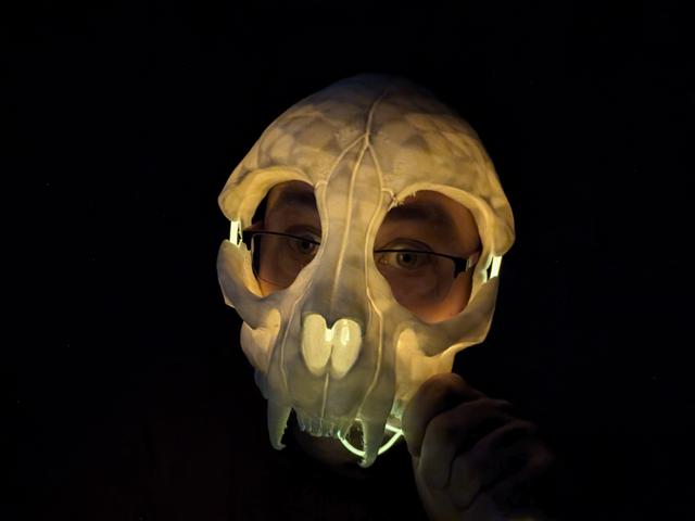 Cat Skull Mask - EL Wire edition 3D model thumbnail