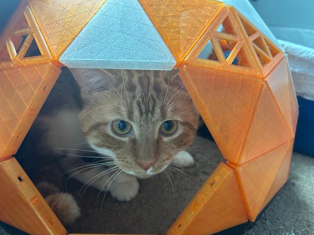 Geodesic Cat Dome Mods (Windows and Stand) 3D model thumbnail