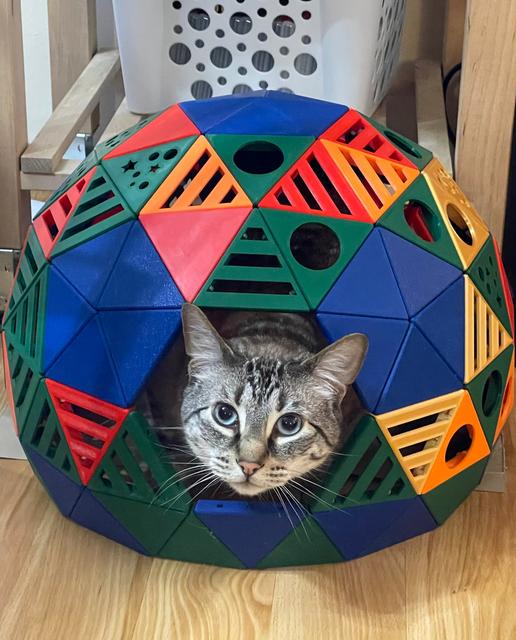 Geodesic Dome Can House - Remixes for Panel 1 3D model thumbnail