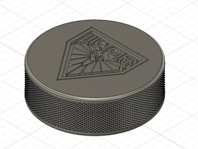 PWHL Souvenir Pucks 3D model thumbnail