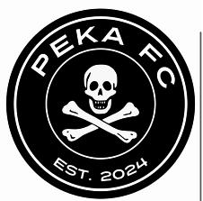 PEKA FC 3D model thumbnail