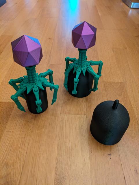Stand for Cute Printed in Place Support Free Flexi Bacteriophage T4 3D model thumbnail