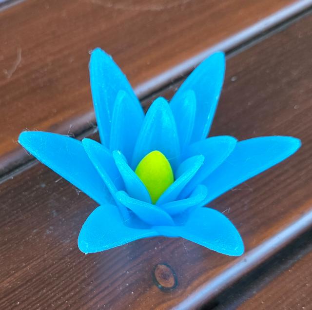 Flower two parts 3D model thumbnail