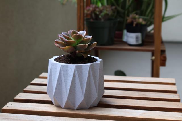 Planter 12 - Succulent Life with drainage holes 3D model thumbnail
