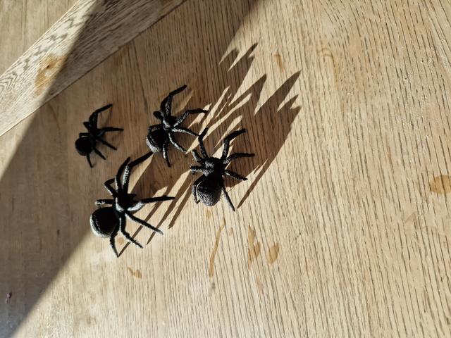 Realistic Spider - Easily Printable 3D model thumbnail