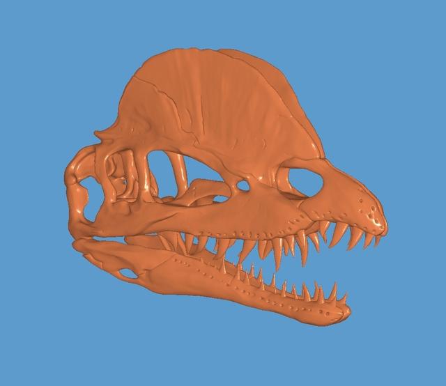 Dilophosaurus skull 3D model thumbnail