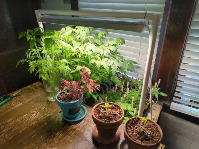 Adjustable Height Grow Light Stand 3D model thumbnail