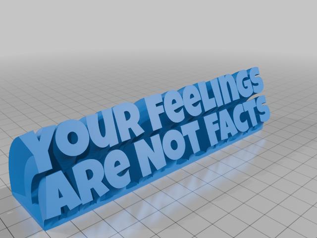 Your Feelings Are Not Facts 3D model thumbnail