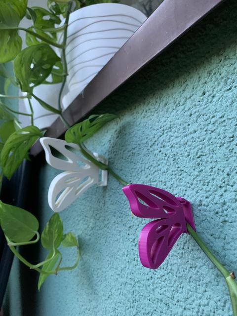 Butterfly climbing plant clip 3D model thumbnail