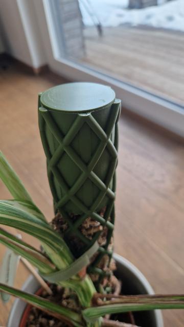 Moos Stab Cap for moss pole water tank 3D model thumbnail