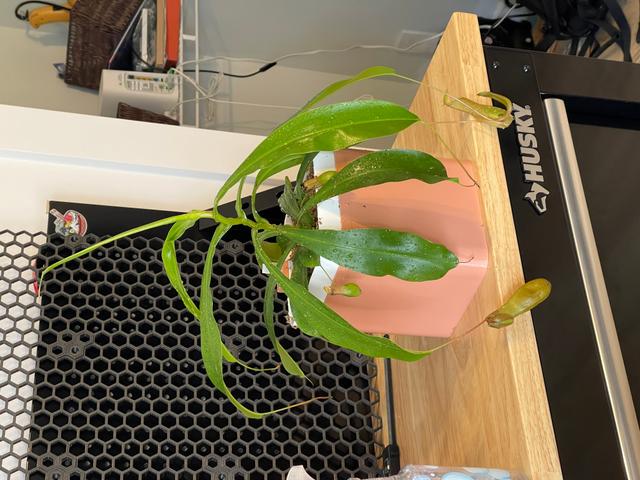 Square Medium-Large Self Watering Pot/Planter 3D model thumbnail