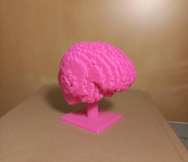 Sliced Brain + Stand 3D model thumbnail