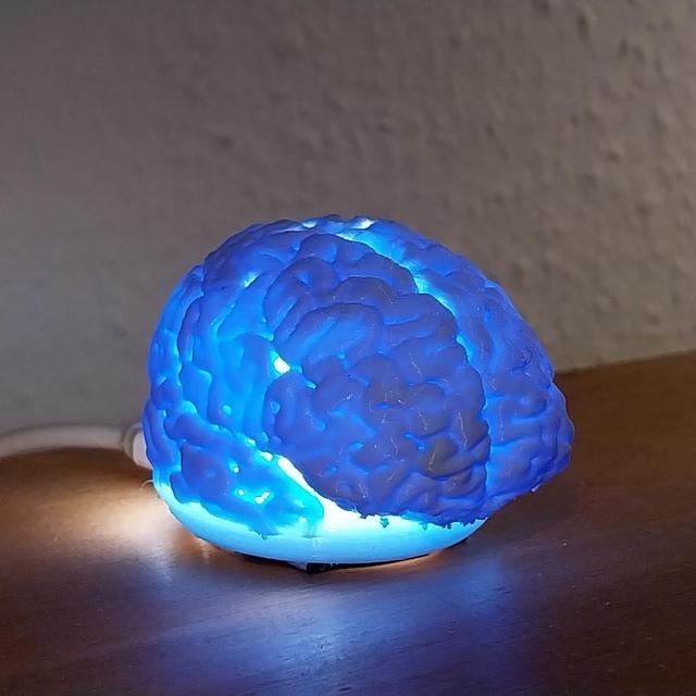 Concentration Brain Lamp Ikea Kapplake 3D model thumbnail