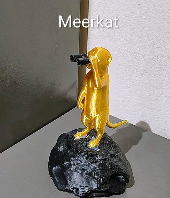 Meerkat No Ams 3D model thumbnail