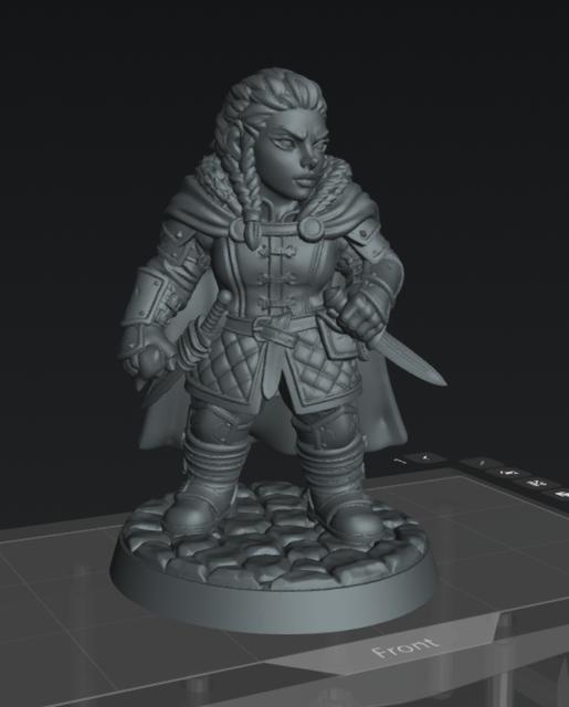Dwarf Rogue Female 3 3D model thumbnail