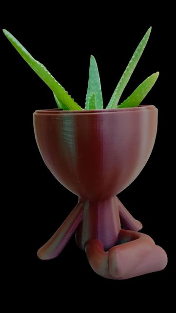 Robert con sistema hidroponico 3D model thumbnail