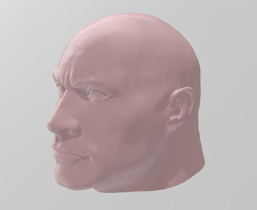 Lucky 13 The Rock Head 3D model thumbnail