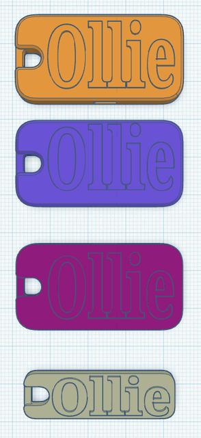 Ollie's Flat Pocket Whistle 3D model thumbnail
