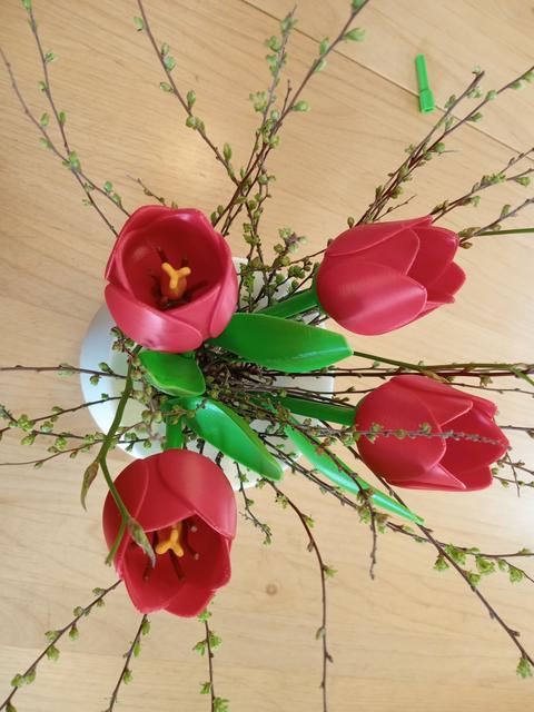 Zubehör für Tulpe / add-on for the tulip 3D model thumbnail