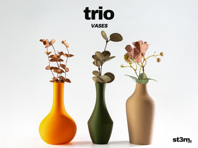 Trio ⬝ Vases 3D model thumbnail