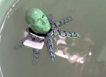 Rocktopus Bob (floatable) 3D model thumbnail