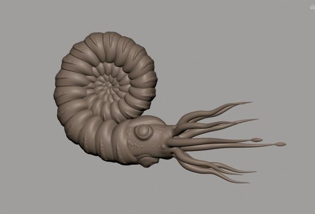 Ammonite 3D model thumbnail