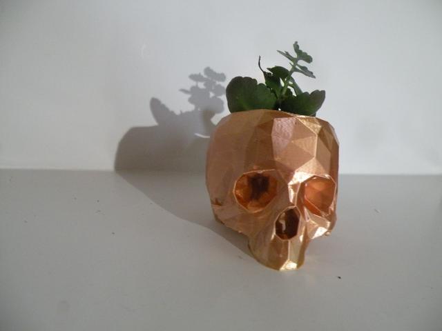 Low Poly Skull Plant Pot 2 Types 3D model thumbnail