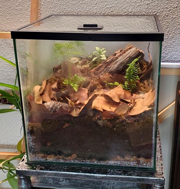 Lid for 6 Gallon Cube Imagitarium Tank 3D model thumbnail