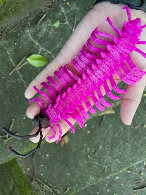 Shocking Pink Dragon Millipede 3D model thumbnail