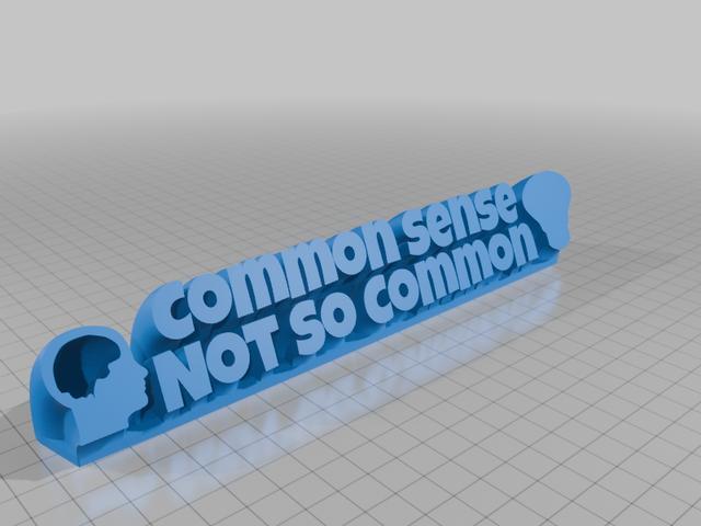 Common Sense Not So Common 3D model thumbnail
