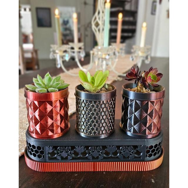 Succulent plant pot 3D model thumbnail