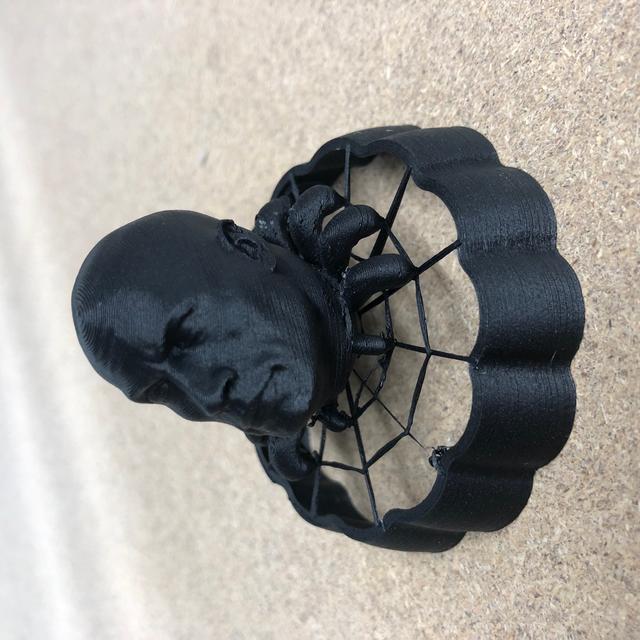 E3D spider but it's The Rock 3D model thumbnail