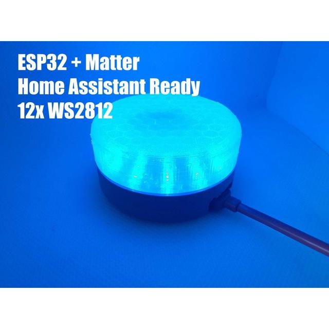 ESP32 Matter Smart Lamp | Home Assistant | WS2812 Ring (12 LED) 3D model thumbnail