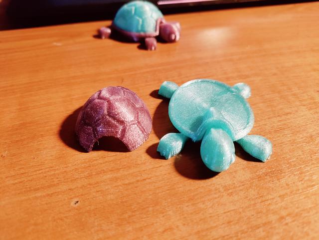 Turtle with removable shell 3D model thumbnail