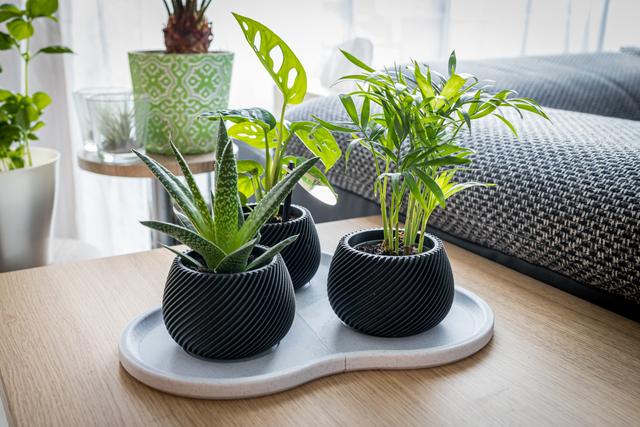 Modular Plate for "Modern spiral planter" 3D model thumbnail