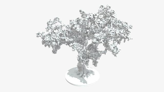 Grover Cleveland Oak 3D Print 3D model thumbnail