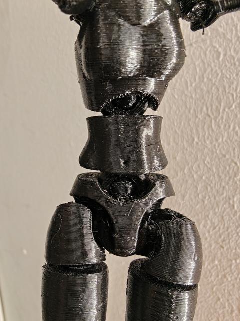 Carbon 13 Female Belly 3D model thumbnail