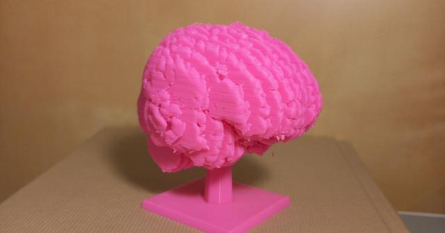 Sliced Brain + Stand 3D model thumbnail